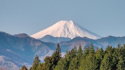 DSC_0291.JPG