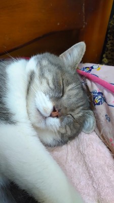 DSC_1458.JPG