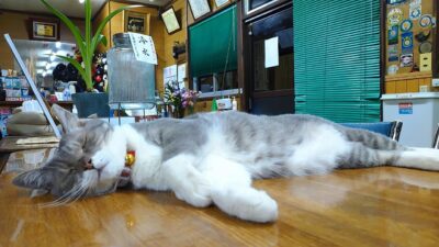 DSC_4285.JPG