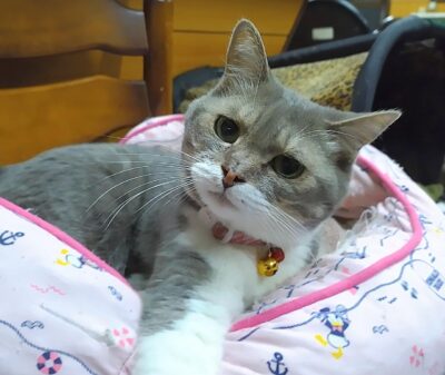 DSC_3463~2.JPG
