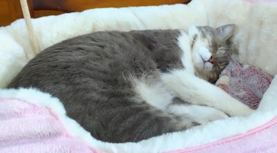 DSC_5010_2.JPG