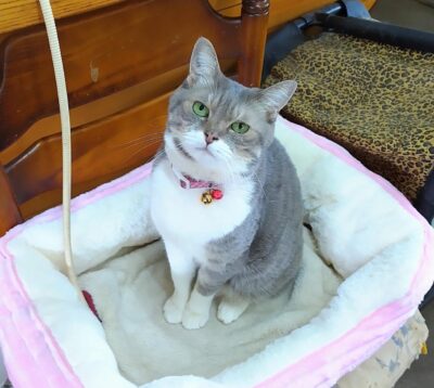 DSC_4442.JPG